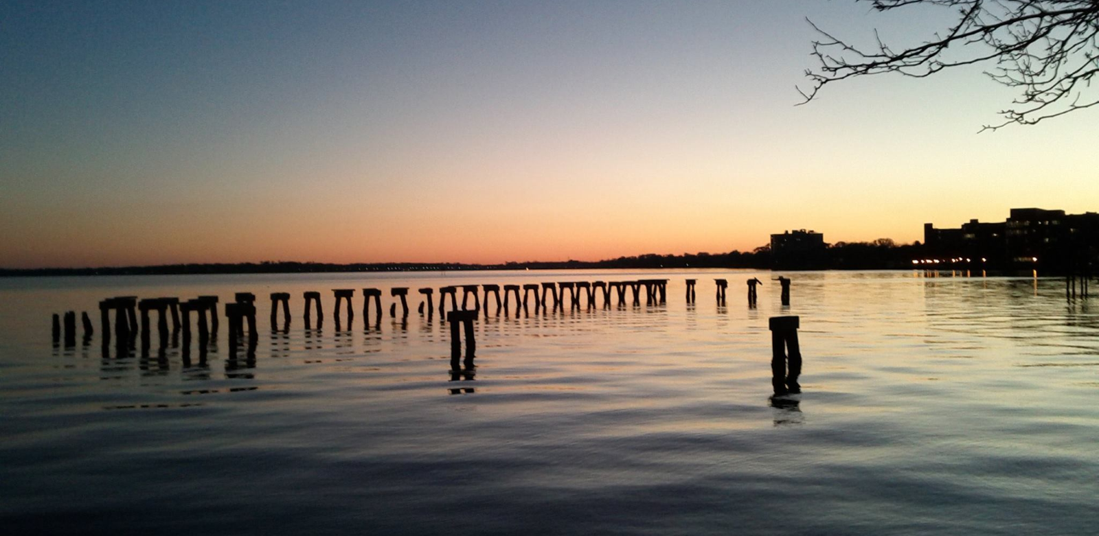 Episode 24: David Haney Brews Diversity at Stack Overflow